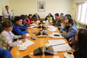 Consejo Provincial de Seguridad Pública  de Última Esperanza debatió acerca del abigeato y consumo de alcohol