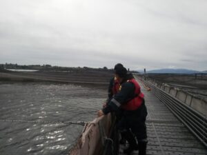 Anuncian inversiones acuícolas por más de nueve millones de dólares en Río Verde