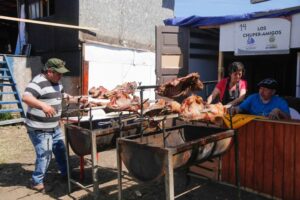 Hoy finaliza Muestra y Festival Costumbrista de Chiloé en Magallanes