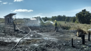 Bomberos evitó incendio forestal luego de que las llamas arrasaran con una vivienda