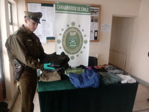 Carabineros detuvo a autores de millonario hurto en Zona Franca
