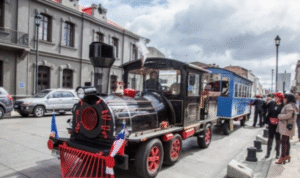 Concejo analizaría mantención del Tren Patagónico Loreto