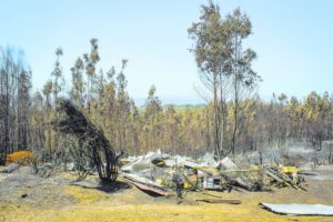 Intendente anunció querellas por intencionalidad en incendios forestales