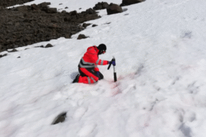 Investigadores chilenos comparan por primera vez las algas de nieve en diferentes sectores de la Antártica