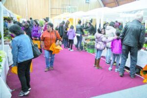 Gran cantidad asistentes a penúltima versión de la Feria Saludable