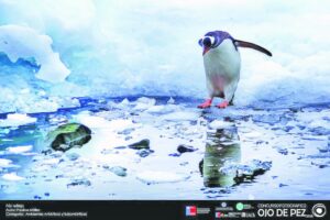 Exposición fotográfica “Ojo de Pez”  se presentará en Zona Franca
