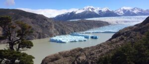 Más de 16 hectáreas de hielo se desprendieron del Glaciar Grey