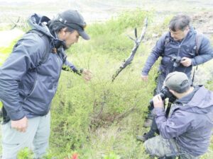 Proyecto Cequa apoya la sustentabilidad de los senderos del Paine