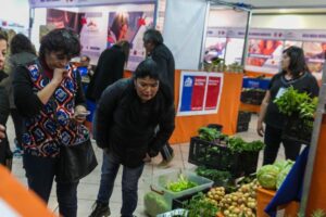Magallánicos aprobaron ExpoMundo Rural y locatarios exigieron un espacio fijo