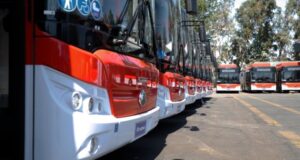 Nuevo sistema de transporte “Red” no llegará a Punta Arenas antes de 2022