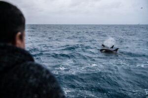 Globalpesca colabora en nuevo libro de Ian Urbina