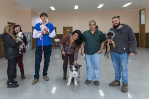 Programa “Yo Aperro” está funcionando sin empresa licitada que capture perros