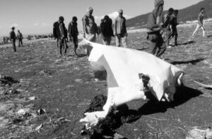 Revelan nacionalidades de los 157 fallecidos en accidente aéreo en Etiopía