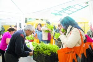 Ayer se realizó la última feria saludable en el Insuco