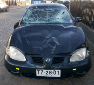 Conductor impactó a vacuno y sufrió  daños de consideración en su vehículo