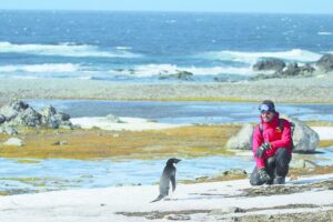Estudian formas de alimentación de pingüinos y petreles en isla Nelson