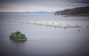 Salmonicultura genera 5 mil empleos en la región