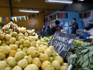 Limones inician Semana Santa con señales contradictorias sobre sus precios