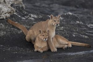 Especialistas aseguran que Torres del Paine es el lugar perfecto para tomar fotos