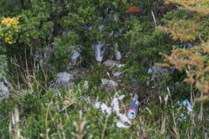 Residuos y cambio climático son los temas que más preocupan en el Día de la Tierra