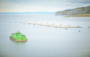 Salmonicultores de Magallanes afirman que críticas al sector son falsas y absurdas