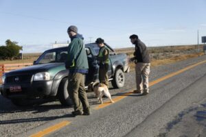 Efectúan fiscalizaciones en sector de control Kon Aiken
