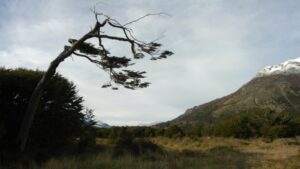 Futura ruta Calafate-Russfin podría licitarse en el plazo de un año