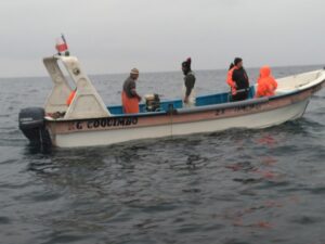 Realizan pruebas con ultrasonido para ahuyentar a lobos marinos