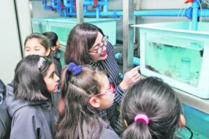 Mujeres lideran presencia en carreras científicas de la UMAG