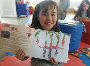 Lanzan libro sobre la flora nativa de Magallanes