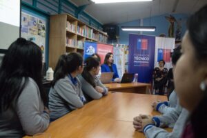 Docentes regionales en contra de hacer optativo Historia y Educación Física