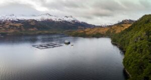Conflicto en el Beagle por actividad salmonera