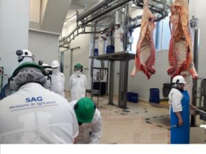 SAG lanza nuevo Sistema de Nacional de Control Predial, SINAP