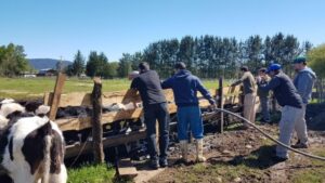 Agrupaciones campesinas conocerán emprendimientos