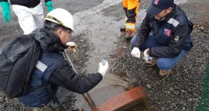 Piden declarar emergencia sanitaria tras colapso de planta de aguas servidas