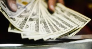 Dólar cae $8 anotando mayor disminución diaria en cuatro meses