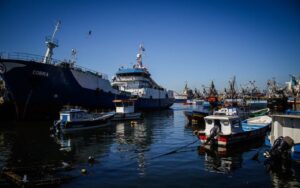 Comisión de Pesca de la Cámara rechaza prorrogar Ley de la Jibia