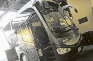 Empresas de buses interurbanos en Magallanes pasan prueba de la blancura