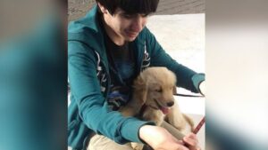 Milagrosa recuperación presentó estudiante víctima de grave atropello
