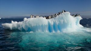 Lo que nos ofrece la Antártica