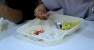 Detectan falencias sanitarias en alimentos para escolares: Junaeb asegura 