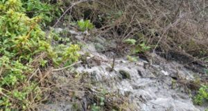 Nueva falla de Essal en Ancud: detectan descarga de aguas servidas en la bahía