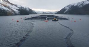 Suspenden temporalmente certificación a Nova Austral como centro libre de antibióticos en Magallanes