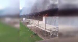 Al menos 52 muertos deja motín en prisión en el norte de Brasil: 16 víctimas fueron decapitadas