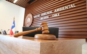 Los argumentos jurídicos que tienen en jaque a Mina Invierno
