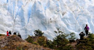Senado aprueba Servicio de Biodiversidad y Áreas Protegidas y lo envía a la Cámara