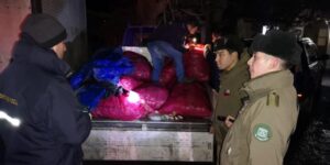 Dos sujetos fueron detenidos tras darse a la fuga con más de media tonelada de centolla