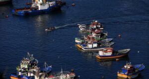 Diputado Brito busca que se prohíba la pesca de arrastre para proteger los recursos marinos