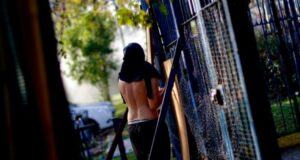 Diputada UDI no descartó proyecto de Aula Segura para Educación Superior tras ataques en U. de Chile