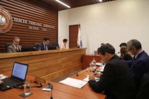 Con votación dividida el Tribunal Ambiental de Valdivia anula RCA de Tronaduras de Mina Invierno
